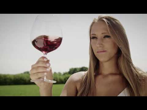 VICTORY - LJUBEZEN NISO METRI