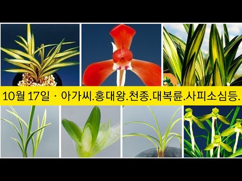 유튜브 썸네일