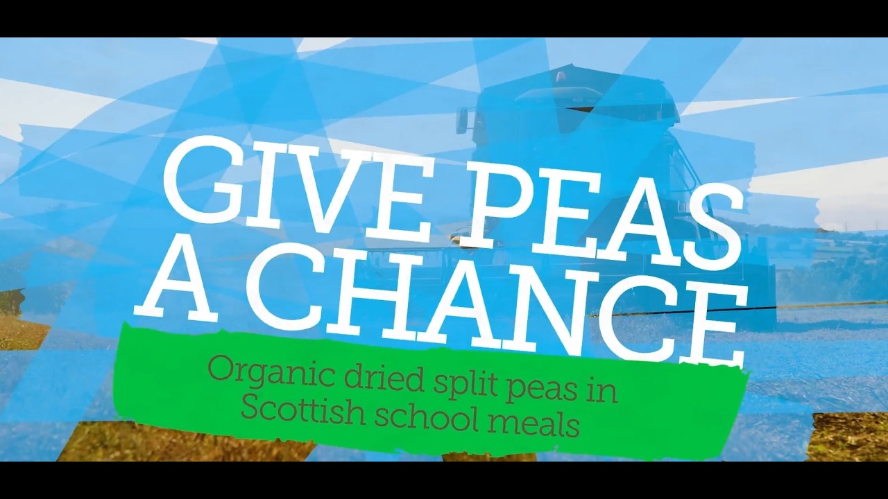 Give Peas a Chance!: Organic dried split peas in Scottish school meals