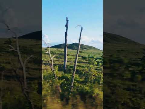 Pelas estradas de Nova Monte Verde-MT
