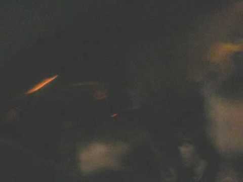 Gleeman members @ the Reggae is Boss Fest