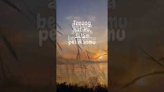 Download lagu Bahagia Aku Bila Bersamamu - Haico #shorts #short #semangat #keluarga #video #fyp mp3