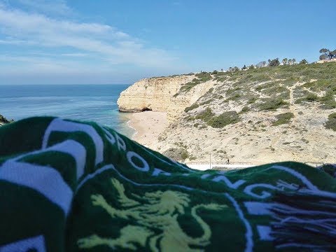 Supporting- Onda Verde