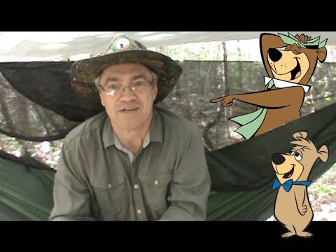 Sleeping with the BEARS !!! - My First Overnight Hammock Camp