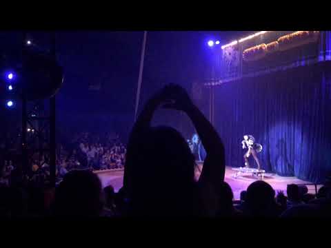 Circo dos Sonhos Avenida Ricardo Jaffet Dia 03/03/2018 Sábado Parte 2