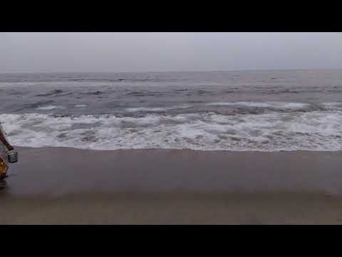 merina beach in chennai