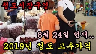 청도시장에가서 2019년 고추시세와 김장배추모종을 구매하고 시장구경도 하였습니다