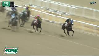 얼마만에 보는 단승식2.6배인가