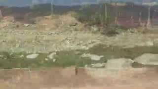 From Under Me - New Electric Ride