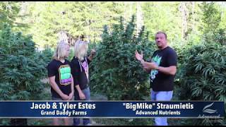 Transplanting Clones Outdoors & Kick-Starting Growth! (Candyland Pt 2)