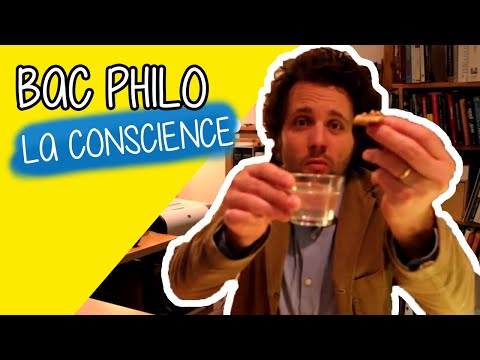 La conscience : la conscience peut-elle nous tromper ? - Philo Terminale Bac