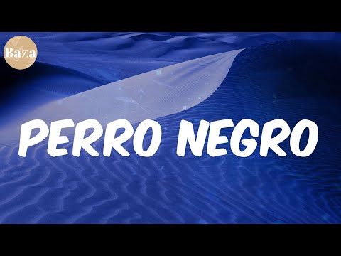 Perro Negro (with Totoy El Frio) (Letra/Lyrics) - ROBI