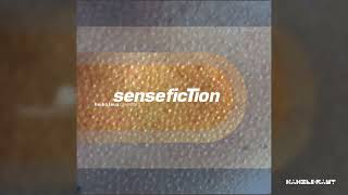 HEIKO LAUX - Sense Fiction Part 2
