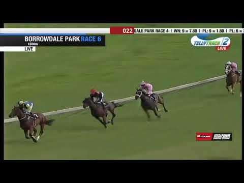 2018.01.28 Guineas Trial (ZIM) - Knuckleball