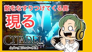 レベル10目指す後編！シタデル実況雑談プレイ10!!