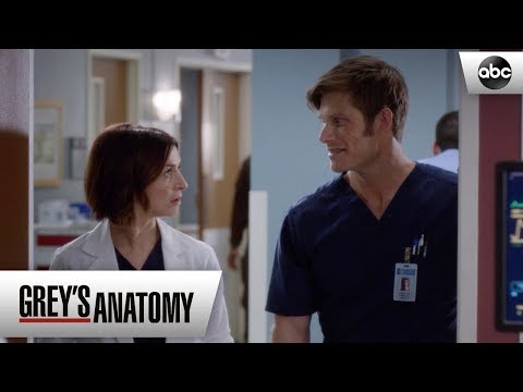 Linc and Amelia Agree To Avoid Each Other - Grey's Anatomy Season 15 Episode 18