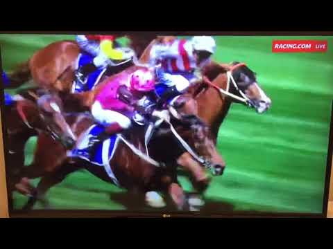 2016 Coolmore Stakes - Flying Artie
