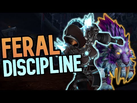 THE BEST COMP FOR FERAL? Feral/Disc 2v2 Arena BFA 8.3 PvP