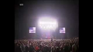 Dropkick Murphys - Sunday Hardcore Matinee (Subtitulado)