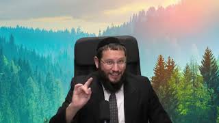 פרשת נח - העולם לפני המבול – חסד בלי גבולות, חסד בלי אדם – הרב אייל אונגר (הרב אייל אונגר) - התמונה מוצגת ישירות מתוך אתר האינטרנט יוטיוב. זכויות היוצרים בתמונה שייכות ליוצרה. קישור קרדיט למקור התוכן נמצא בתוך דף הסרטון