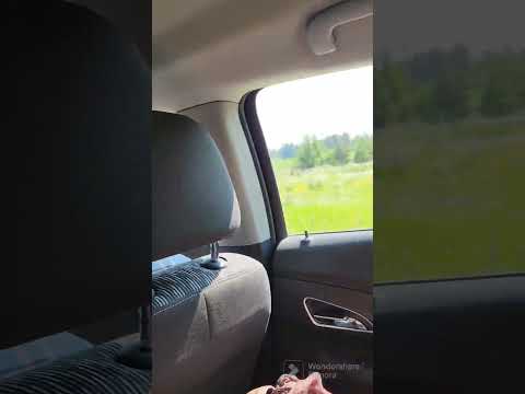 Car ride to Evo, tour of cottage