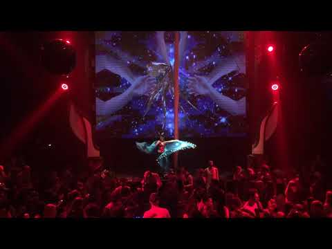 Omri Guetta - Come Fly With Me & The Rabbits