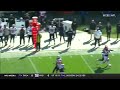 DeVante Parker INSANE 29-Yard Catch | Patriots vs Browns