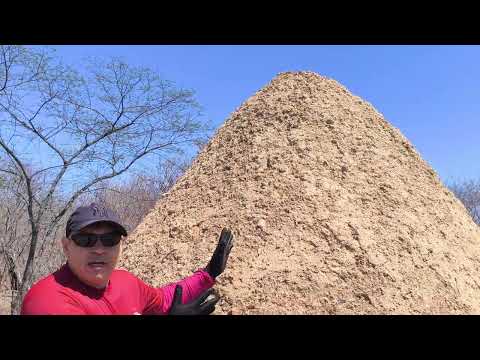 FORNO DE FAZER CARVÃO EM VIOLETE HIDROLÂNDIA CEARÁ 