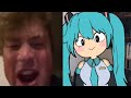 YOU BURNED MY HOUSE TO THE GROUND MIKU