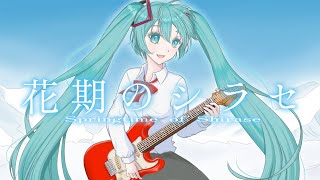 花期のシラセ / 初音ミク
