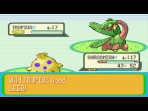 Let's Play Pokemon Naranja Part 6