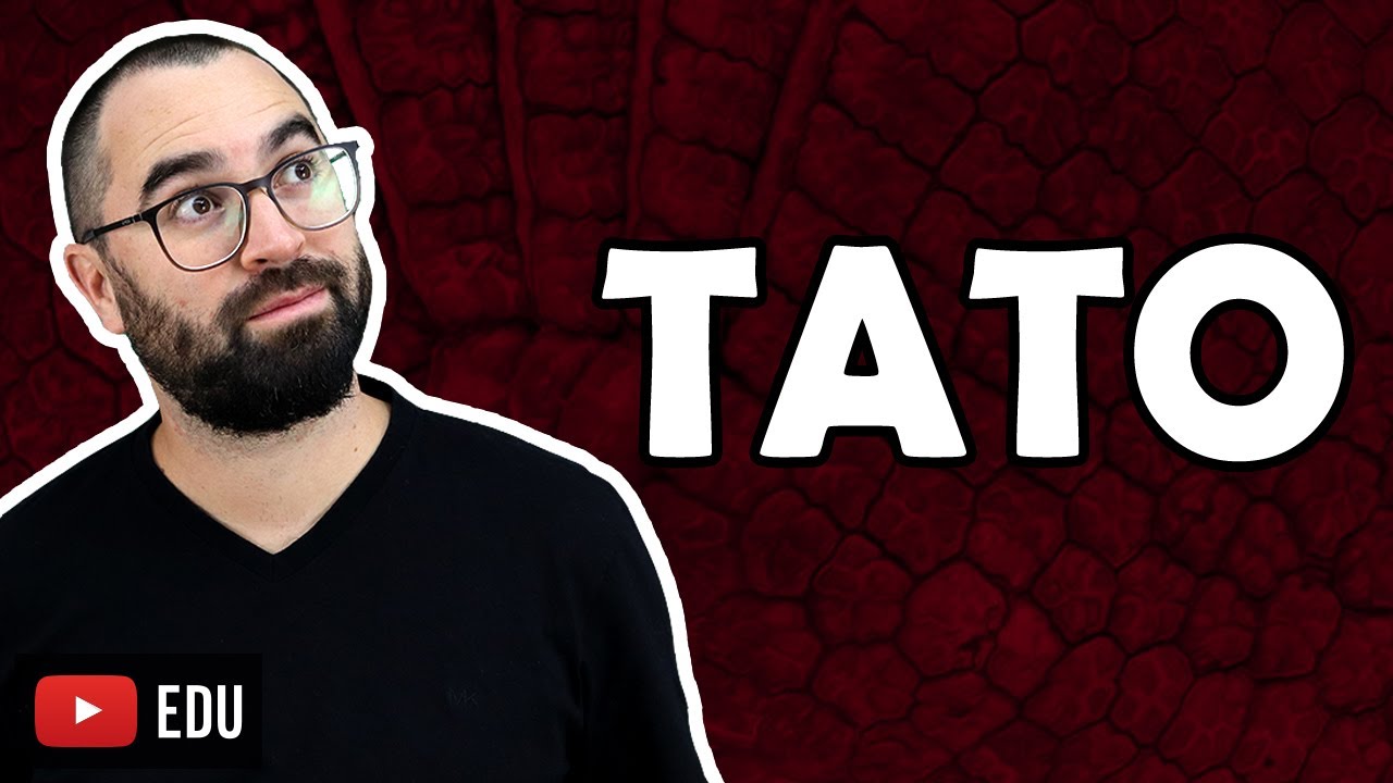 O Tato - Aula 40 - Módulo VII: Histologia e Fisiologia Humana | Prof. Gui