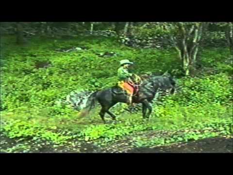 Cuatla Panaloya  Joan Sebastian