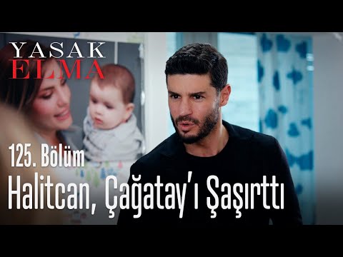 Halitcan, Çağatay'ı şaşırttı - Yasak Elma 125. Bölüm