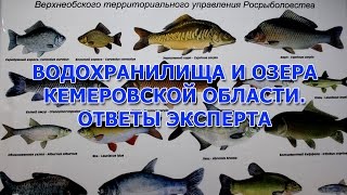 Зимняя рыбалка платная в кемеровской области