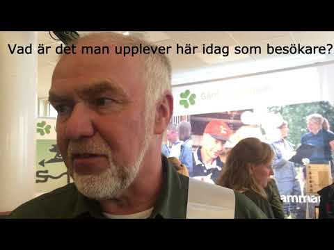 Ingvar Eriksson, Gård & Djurhälsan, Grisföretagardagen 2017