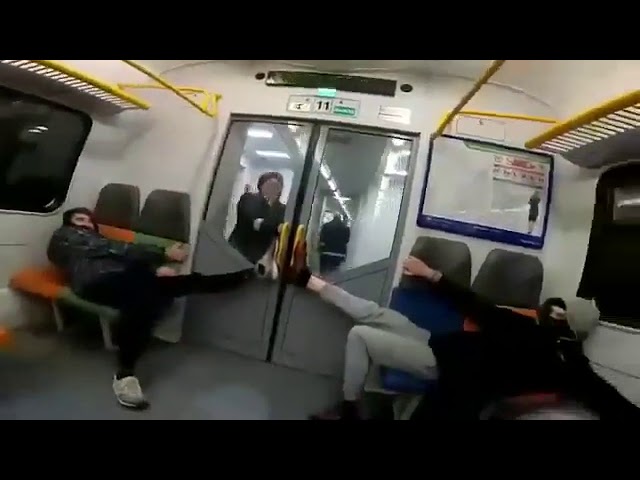 Зайцы оборзели