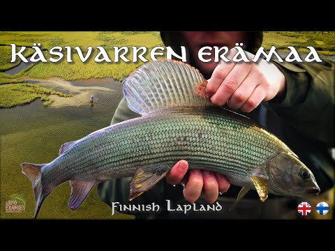 KÄSIVARREN ERÄMAA II - The Grayling Movie | Urpoerämies