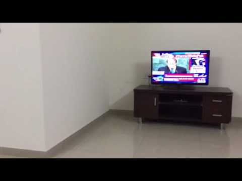 Dog freaks out hearing Pak PM speech at 71st UNGA