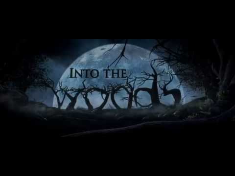 Into the Woods (TV Spot 'AMA's')