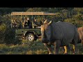 Short Promo Video No Sound