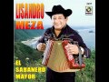 El aguijon - Lisandro meza