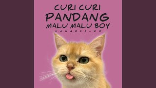 Download lagu Curi Curi Pandang x Malu Malu Boy mp3 Download lagu Curi Curi Pandang x Malu Malu Boy mp3