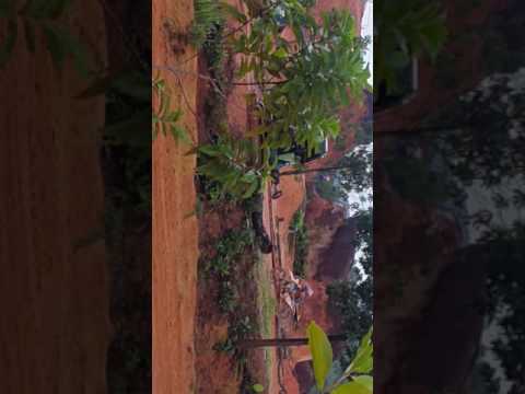 Ulu choh dirt park Daniel haikal 99 enduro X motocross race husqvarna te300 2017