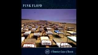 Terminal Frost - Pink Floyd (Instrumental)