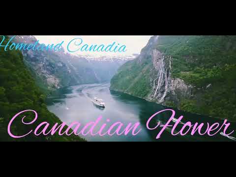 Always loving you x canadian flower