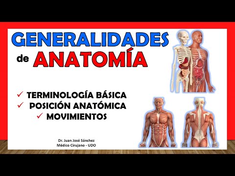 🥇 ANATOMY GENERALITIES - Anatomical Position, Anatomical Terminology. Easy and simple!