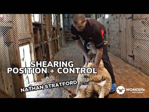 SHEARING - POSITION + CONTROL