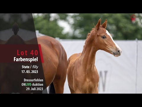ONLIVE-AUKTION Lot 40 Farbenspiel Stute v. For Romance l - Dancier