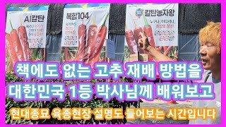 책에없는 고추 재배방법을 조대환 고추박사님께 배워보고 현대종묘 육종현장 설명도 들어보는 시간 입니다